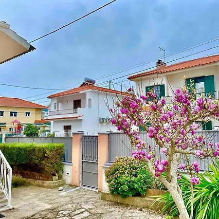 Garden * 卡斯凯什